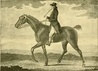 An illustration from Animal painters of England from the year 1650 : a brief history of their lives and works: illustrated with--specimens of their painting (1900)