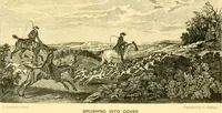 Picture 20 of 33 from Animal painters of England from the year 1650 : a brief history of their lives and works: illustrated with--specimens of their painting (1900), leaf 216