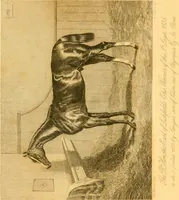 An illustration from Animal painters of England from the year 1650 : a brief history of their lives and works: illustrated with--specimens of their painting (1900)