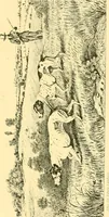 An illustration from Animal painters of England from the year 1650 : a brief history of their lives and works: illustrated with--specimens of their painting (1900)