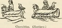 An illustration from Animal symbolism in ecclesiastical architecture (1896)