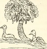 An illustration from Animal symbolism in ecclesiastical architecture (1896)