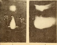 Picture 4 of 15 from Animismus und spiritismus. Versuch einer kritischen prüfung der mediumistischen phänomene mit besonderer berücksichtigung der hypothesen der hallucination und des unbewussten. Als entgegnung auf Ed. v. Hartmann's Werk: "Der spiritismus." (1894), leaf 394