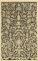 An illustration from Anna Dike Scott collection of old lace (1905)