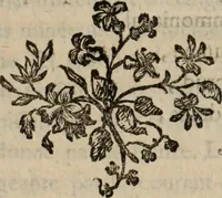 An illustration from Annales de chimie et de physique (1789)
