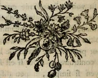 An illustration from Annales de chimie et de physique (1789)
