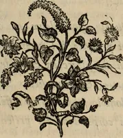 An illustration from Annales de chimie et de physique (1789)