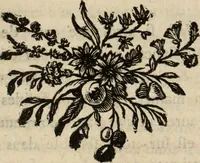 An illustration from Annales de chimie et de physique (1789)