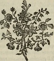 An illustration from Annales de chimie et de physique (1789)