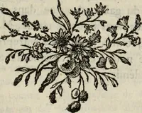 An illustration from Annales de chimie et de physique (1789)