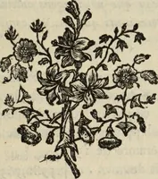 An illustration from Annales de chimie et de physique (1789)