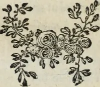 An illustration from Annales de chimie et de physique (1789)