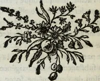 An illustration from Annales de chimie et de physique (1789)