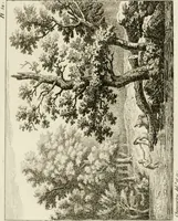 An illustration from Annales du musée et de l'école moderne des beaux-arts : recueil de gravures au trait, d'après les principaux ouvrages de peinture, sculpture, ou projets d'architecture, qui, chaque année, ont remporté le prix, soit aux écoles spéciales, soit aux concours nationaux : les productions des artistes en tous genres, qui, aux différentes expositions, ont été citées avec éloges : les morceaux les plus estimés ou inédits de la galerie de peinture : la suite complète de celle des antiques : édifices anciens et modernes, etc. (1800)
