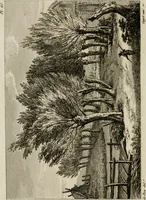 An illustration from Annales du musée et de l'école moderne des beaux-arts : recueil de gravures au trait, d'après les principaux ouvrages de peinture, sculpture, ou projets d'architecture, qui, chaque année, ont remporté le prix, soit aux écoles spéciales, soit aux concours nationaux : les productions des artistes en tous genres, qui, aux différentes expositions, ont été citées avec éloges : les morceaux les plus estimés ou inédits de la galerie de peinture : la suite complète de celle des antiques : édifices anciens et modernes, etc. (1800)