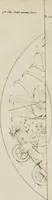 Picture 8 of 71 from Annales du musée et de l'école moderne des beaux-arts : recueil de gravures au trait, d'après les principaux ouvrages de peinture, sculpture, ou projets d'architecture, qui, chaque année, ont remporté le prix, soit aux écoles spéciales, soit aux concours nationaux : les productions des artistes en tous genres, qui, aux différentes expositions, ont été citées avec éloges : les morceaux les plus estimés ou inédits de la galerie de peinture : la suite complète de celle des antiques : édifices anciens et modernes, etc. (1800), leaf 41
