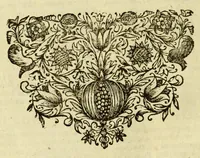 An illustration from Annales mundi, sive Chronicon universale secundum optimas chronologorum epochas ab orbe condito ad annum Christi, millesimum sexcentesimum sexagesimum perductum (1696)