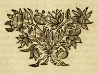 An illustration from Annales mundi, sive Chronicon universale secundum optimas chronologorum epochas ab orbe condito ad annum Christi, millesimum sexcentesimum sexagesimum perductum (1696)
