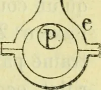 An illustration from Annales télégraphiques .. (1855)