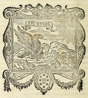 An illustration from Annali della città dell'Aqvila : con l'histoire del svo tempo (1570)