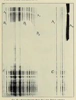 An illustration from Annals of the Astrophysical Observatory of the Smithsonian Institution (1900)