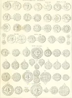 An illustration from Annals of the coinage of Great Britain and its dependencies : from the earliest period of authentic history to the reign of Victoria (1840)