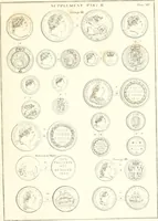An illustration from Annals of the coinage of Great Britain and its dependencies : from the earliest period of authentic history to the reign of Victoria (1840)