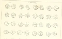 Picture 242 of 271 from Annals of the coinage of Great Britain and its dependencies : from the earliest period of authentic history to the reign of Victoria (1840), leaf 286