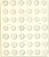 An illustration from Annals of the coinage of Great Britain and its dependencies : from the earliest period of authentic history to the reign of Victoria (1840)