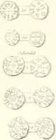 Picture 20 of 271 from Annals of the coinage of Great Britain and its dependencies : from the earliest period of authentic history to the reign of Victoria (1840), leaf 40