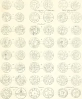 An illustration from Annals of the coinage of Great Britain and its dependencies : from the earliest period of authentic history to the reign of Victoria (1840)