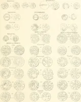 An illustration from Annals of the coinage of Great Britain and its dependencies : from the earliest period of authentic history to the reign of Victoria (1840)