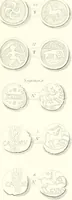 Picture 5 of 217 from Annals of the coinage of Great Britain and its dependencies : from the earliest period of authentic history to the reign of Victoria (1840), leaf 18