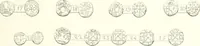 An illustration from Annals of the coinage of Great Britain and its dependencies : from the earliest period of authentic history to the reign of Victoria (1840)