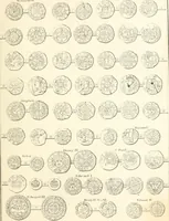 Picture 144 of 217 from Annals of the coinage of Great Britain and its dependencies : from the earliest period of authentic history to the reign of Victoria (1840), leaf 326