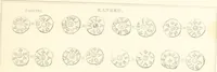 An illustration from Annals of the coinage of Great Britain and its dependencies : from the earliest period of authentic history to the reign of Victoria (1840)