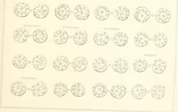 An illustration from Annals of the coinage of Great Britain and its dependencies : from the earliest period of authentic history to the reign of Victoria (1840)