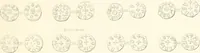 An illustration from Annals of the coinage of Great Britain and its dependencies : from the earliest period of authentic history to the reign of Victoria (1840)