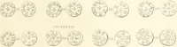 Picture 197 of 217 from Annals of the coinage of Great Britain and its dependencies : from the earliest period of authentic history to the reign of Victoria (1840), leaf 418