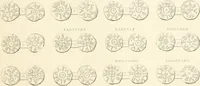 An illustration from Annals of the coinage of Great Britain and its dependencies : from the earliest period of authentic history to the reign of Victoria (1840)