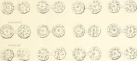 An illustration from Annals of the coinage of Great Britain and its dependencies : from the earliest period of authentic history to the reign of Victoria (1840)