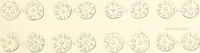 Picture 206 of 217 from Annals of the coinage of Great Britain and its dependencies : from the earliest period of authentic history to the reign of Victoria (1840), leaf 458