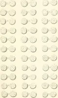 Picture 26 of 217 from Annals of the coinage of Great Britain and its dependencies : from the earliest period of authentic history to the reign of Victoria (1840), leaf 50
