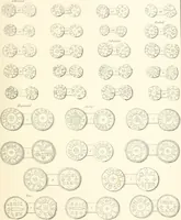 An illustration from Annals of the coinage of Great Britain and its dependencies : from the earliest period of authentic history to the reign of Victoria (1840)
