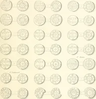 An illustration from Annals of the coinage of Great Britain and its dependencies : from the earliest period of authentic history to the reign of Victoria (1840)