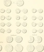 An illustration from Annals of the coinage of Great Britain and its dependencies : from the earliest period of authentic history to the reign of Victoria (1840)