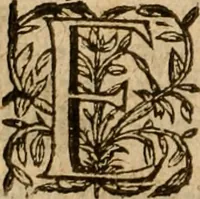 An illustration from [Annals of England to 1603] (1603)