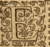 An illustration from [Annals of England to 1603] (1603)