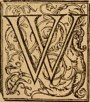 An illustration from [Annals of England to 1603] (1603)
