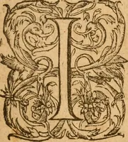An illustration from [Annals of England to 1603] (1603)